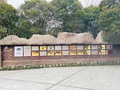 -嵖岈山风景区