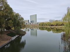 -大兴滨河森林公园