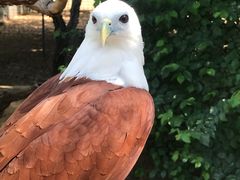 -费瑟代尔野生动物园