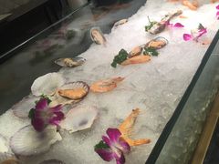 -皇城豪门酒店-美多娜国际美食餐厅