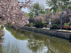 -海棠花溪(元大都城垣遗址公园)