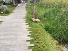 -西北湖绿化广场