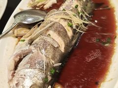 -舜和枣庄大酒店