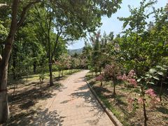 -黄河小浪底水利枢纽风景区