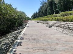 -宝安西湾红树林湿地公园