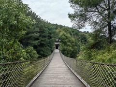 -铁山坪森林公园