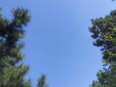 -王胖儿甏肉干饭