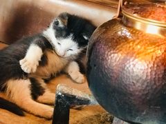 -驿舍·民國老营房院子私房菜(科学会堂店)