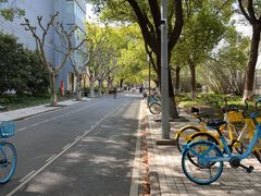 -同济大学本部学苑饮食广场