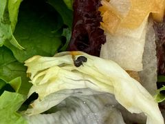 -Hatsune隐泉日式料理(三里屯太古里店)