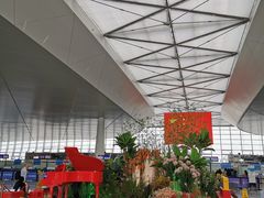 -温州龙湾国际机场