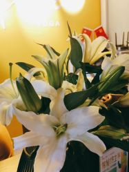 -FineYoga梵音瑜伽·普拉提