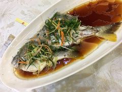 -有腥气私房菜·寻味顺德