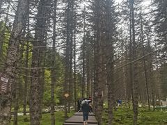 -硗碛藏寨·神木垒景区