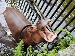 -海南热带野生动植物园