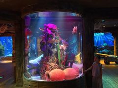 -沈阳海洋探索中心