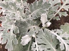 -北京植物园南门售票处