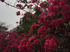 -广州市紫泥堂文化创意园景区