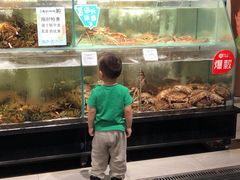 -超级物种·波龙工坊(国贸店)