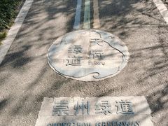 -桤木河湿地公园