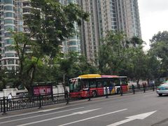 -珠江夜游广州塔·中大码头