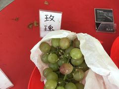 -马陆小张葡萄园农家乐