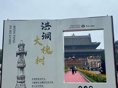 -大槐树寻根祭祖园