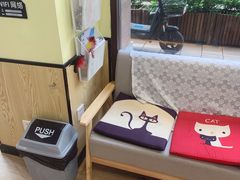 -派联宠物医院·24h·CT·异宠