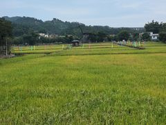 -红山村