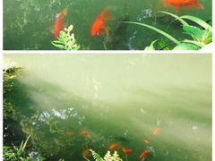 -黑色经典臭豆腐·湖南特产(步行街店)
