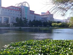 -山东大学(威海校区)