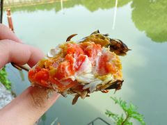 -水岸居湖景农家乐·阳澄湖大闸蟹