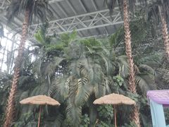 -中家鑫园温泉酒店鑫悦汤泉