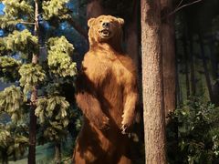 -陕西自然博物馆