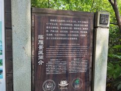 -东湖落雁景区