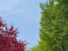 -石家庄市植物园