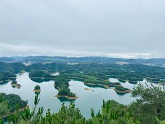 -逸廊大堂吧-下午茶·简餐-千岛湖自由洲际殿