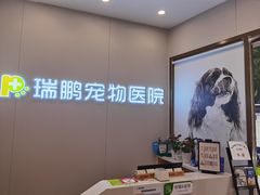 -瑞鹏宠物医院·微创内窥镜·骨外科·牙科(翠竹分院)