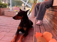 -Catch Bagel(芳草地店)