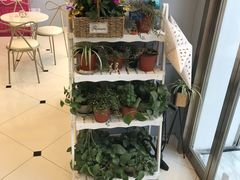 -贝紫Style(木马公寓店)