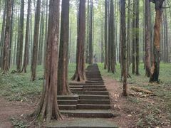 -武陵山森林公园