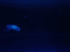 -常州海昌海洋探索馆