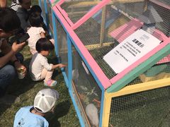 -廊坊固安福朋喜来登酒店