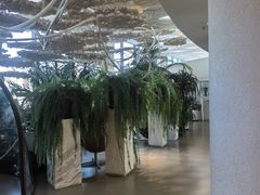 -哈尔滨圣安口腔专科医院