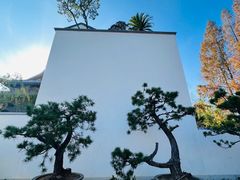 -龙华寺