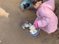 -前小桔亲子创意农场·草莓采摘·露营烧烤