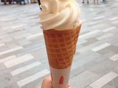 经典豆乳冰淇淋-维维豆奶(金鹰新街口店)