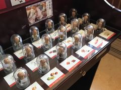 -北京张裕爱斐堡酒庄