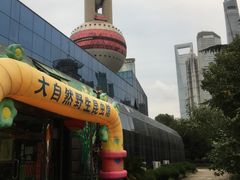 -上海大自然野生昆虫馆(东方明珠·爬宠昆虫探索中心)