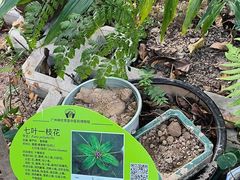 -广州神农草堂中医药博物馆